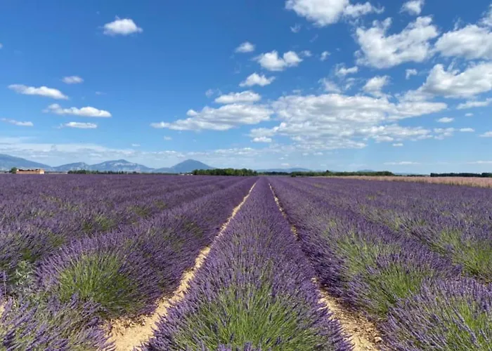 04b5 Beautiful In A Mas Provencal - Pool Brunet